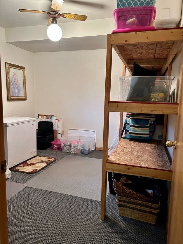 bedroom 5 - in basement, currently used for storage