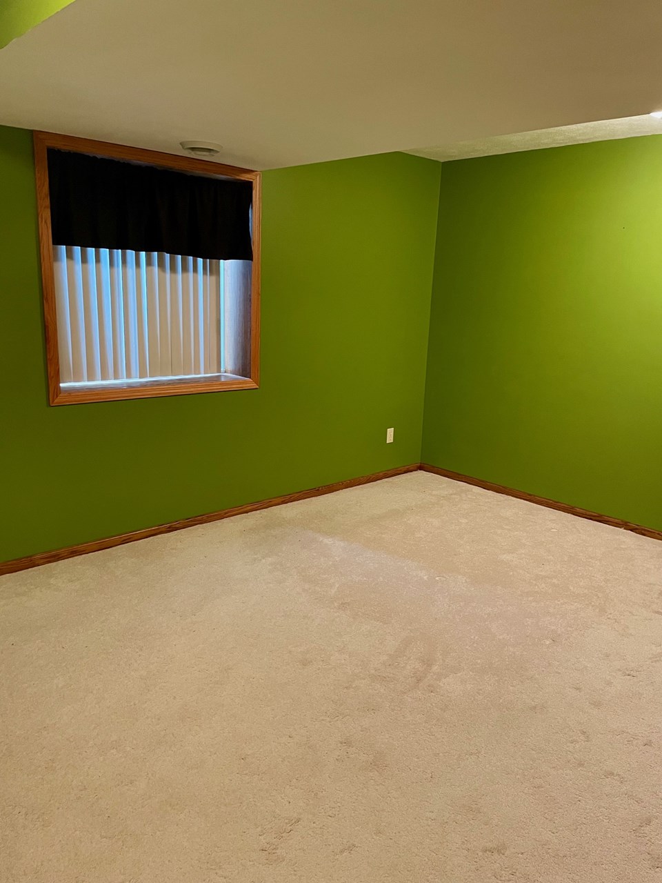 bedroom 4 of 5 lower level