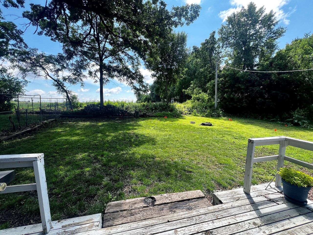 lovely backyard