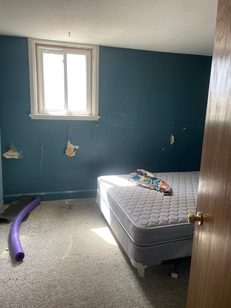 bedroom 2 of 2 on lower level