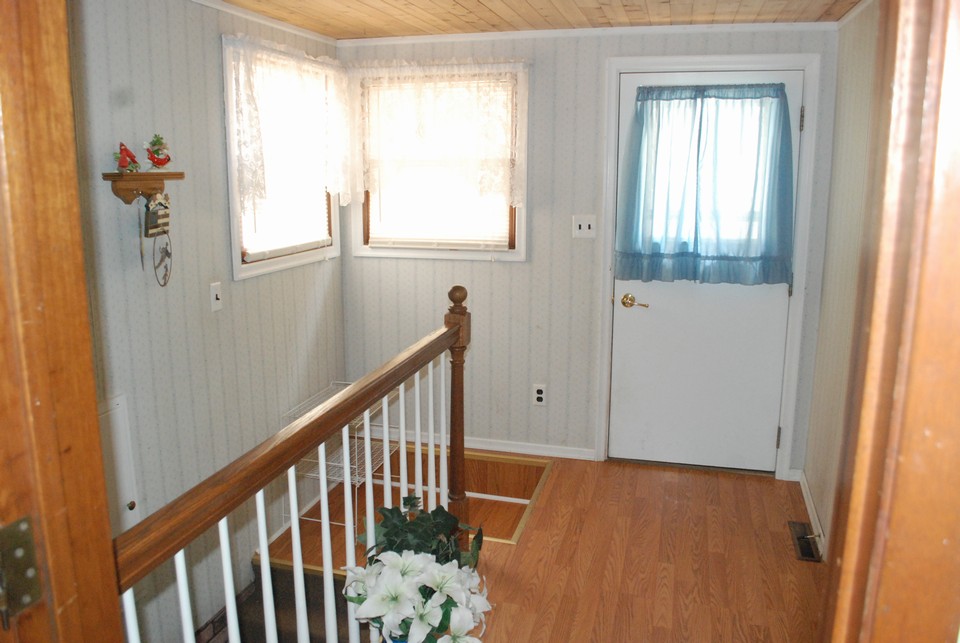 entry side door/basement stairs