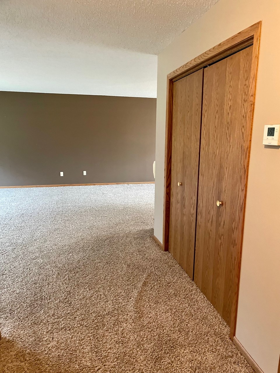 closet space off living room