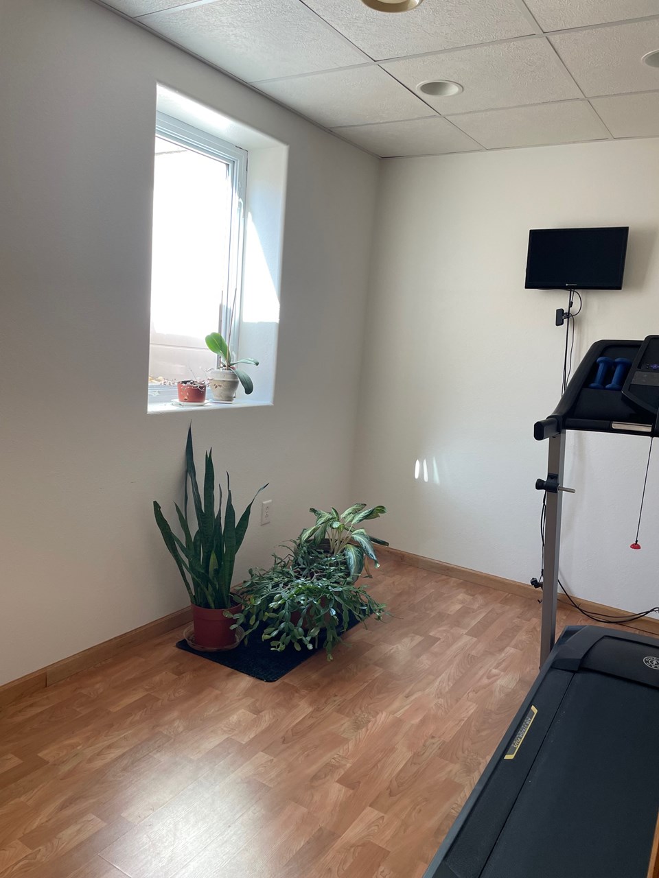 office or workout room lower level