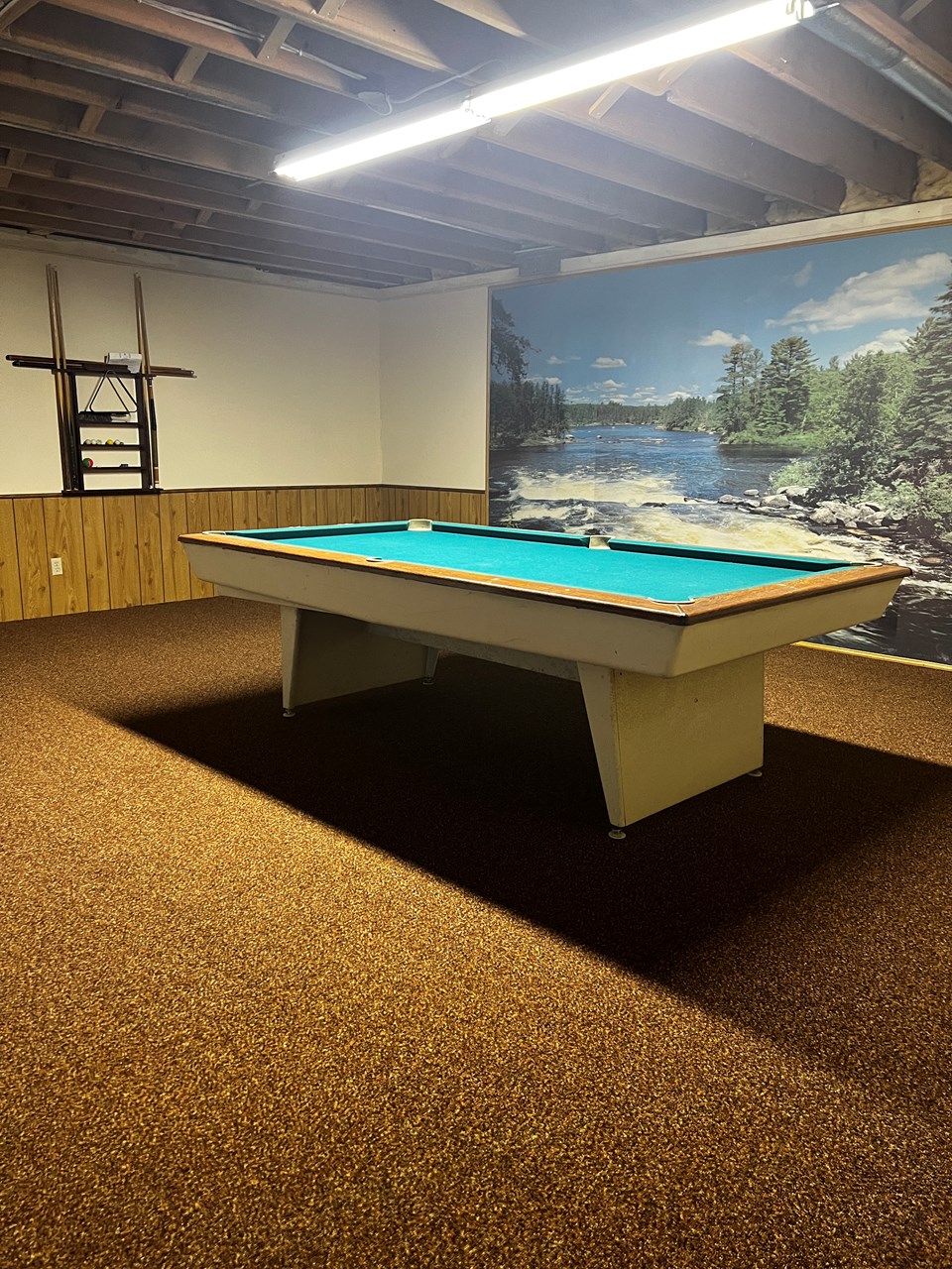 family room lower level