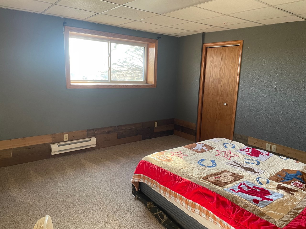 bedroom3 of 5 on lower level