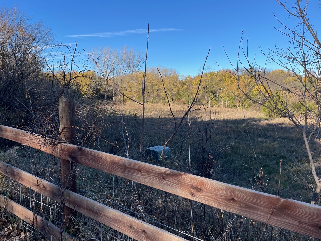 lots of room to add a shed or just enjoy nature