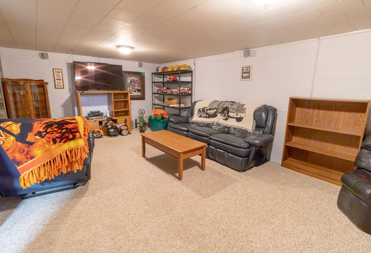 lower level family room