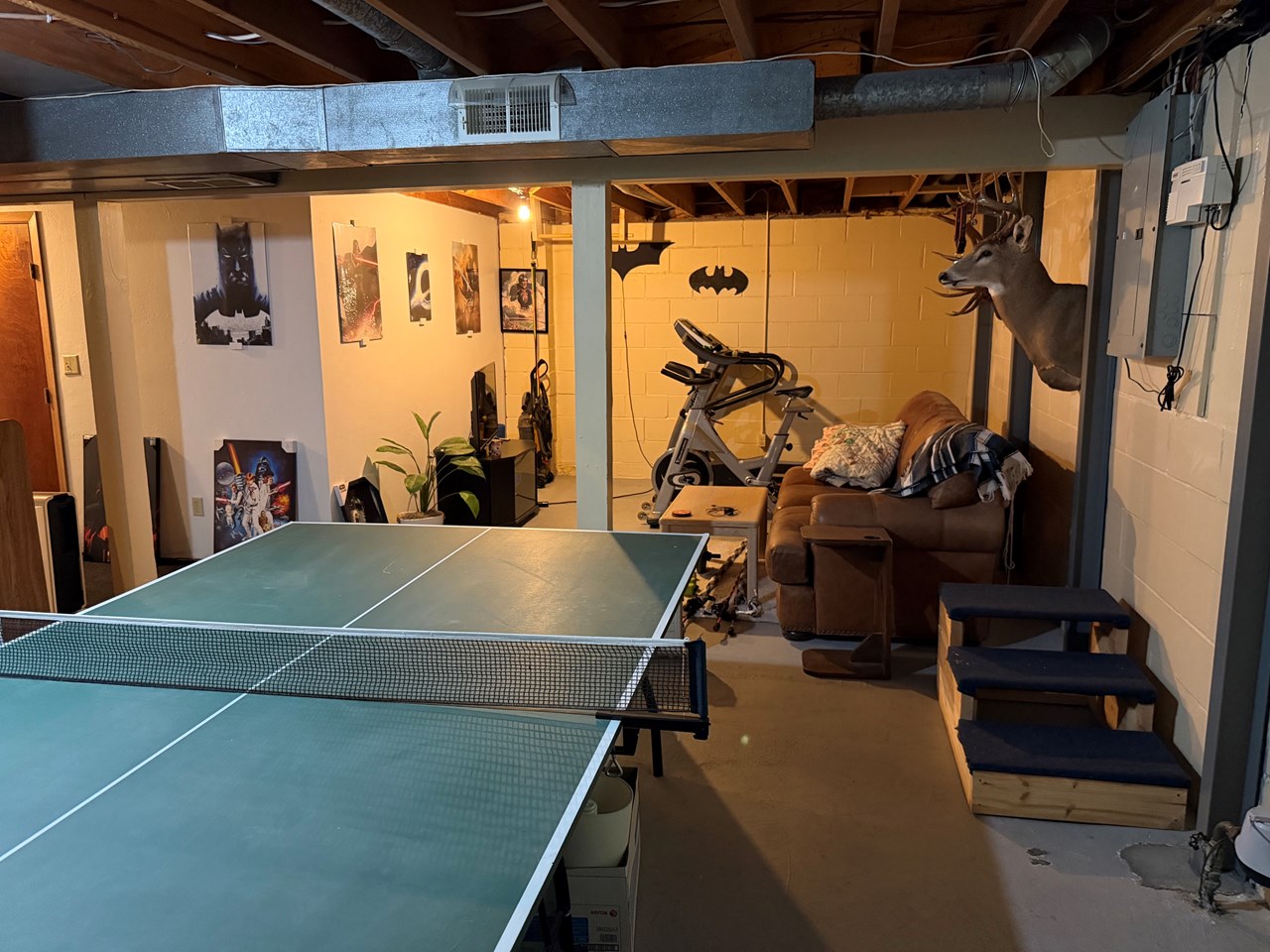 lower level family area